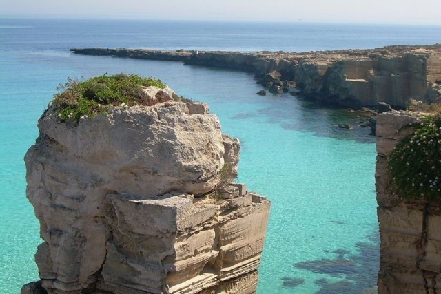  Favignana lingua 